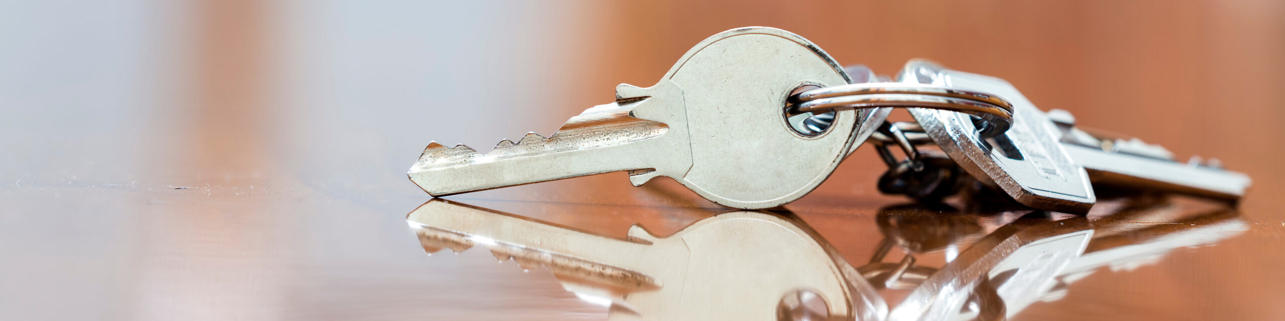 サービスの流れ